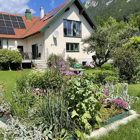 Апартаменты Living Like At Your Own *