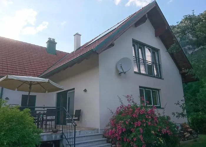 Living Like At Your Own *